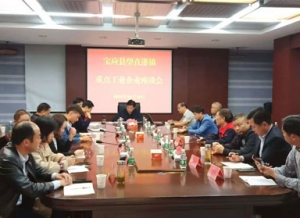 A symposium on key industrial enterprises in Wangzhigang Town was held in our company